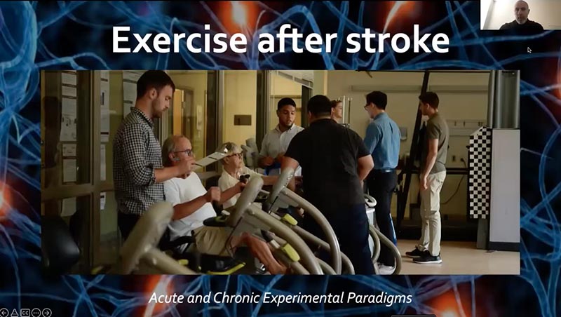 Exercise after stroke_ acute and chronic experimental paradigms