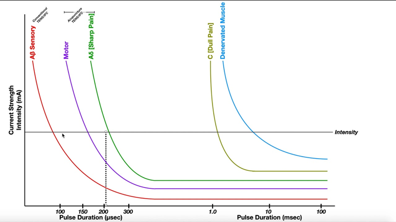 ELECTROESTIMULADOR RISE img2