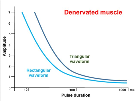 ELECTROESTIMULADOR RISE img4