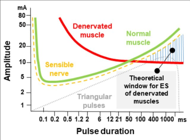 ELECTROESTIMULADOR RISE img5